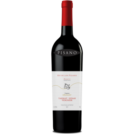Pisano Family Vineyards - Rio de los Pajaros Tannat Syrah Viognier - Rouge - 2019 - 75cl
