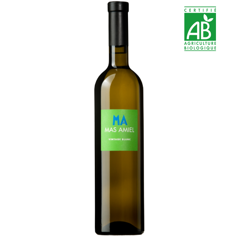 Mas Amiel - Vintage - Maury Doux - Blanc - 2025 - 75cl Mas Amiel - Vintage - Maury Doux - Blanc - 2025 - 75cl