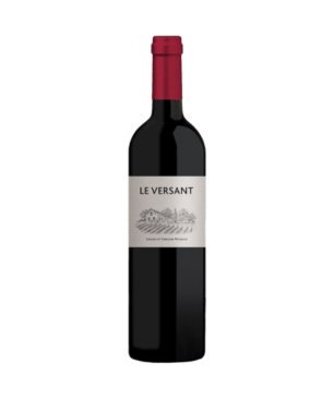 Domaine de l'Aurage - Le Versant - Castillon Côtes de Bordeaux - Rouge - 2020 - 75cl