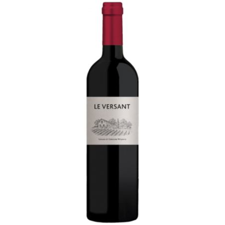 Domaine de l'Aurage - Le Versant - Castillon Côtes de Bordeaux - Rouge - 2020 - 75cl