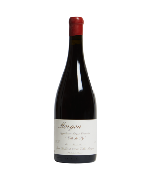 Jean Foillard - Morgon Côte du Py - Rouge - 2023 - 75cl