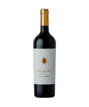 Clos de Los Siete - Mendoza - Rouge - 2021 - 75cl