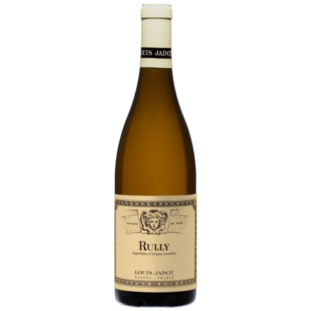 Louis Jadot - Rully - Blanc - 2022 - 75cl