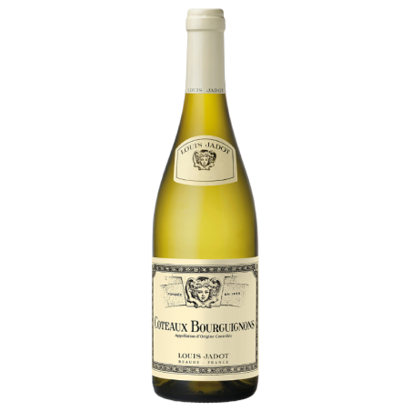 Louis Jadot - Côteaux Bourguignons - Blanc - 2025 - 75cl