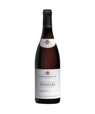 Maison Bouchard Père et Fils - Pommard - Rouge - 2018 - 75cl