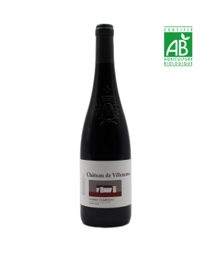 Château de Villeneuve - Saumur-Champigny - Rouge - 2023 - 75cl