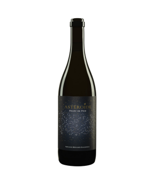 Domaine Didier Dagueneau - Astéroïde - Blanc - 2022 - 75cl