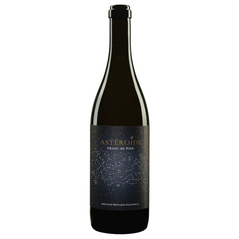 Domaine Didier Dagueneau - Astéroïde - Blanc - 2020 - 75cl