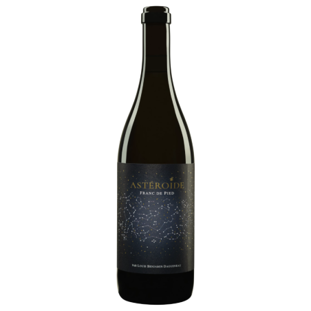 Domaine Didier Dagueneau - Astéroïde - Blanc - 2022 - 75cl