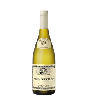 Louis Jadot - Côteaux Bourguignons - Blanc - 2023 - 75cl