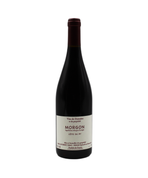Domaine Joubert - La Côte du Py - Morgon - Rouge - 2022 - 75cl
