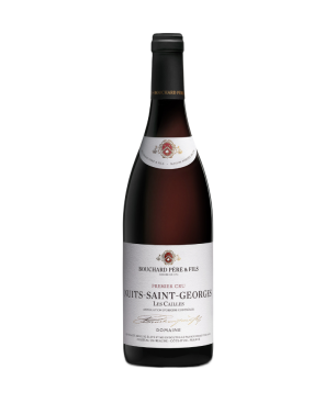 Bouchard Père et Fils - Nuits Saint Georges Premier Cru - Les Cailles - Rouge - 2021 - 75cl