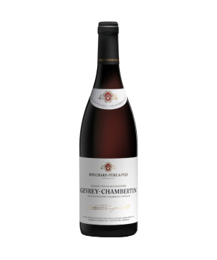 Bouchard Père et Fils - Gevrey Chambertin - Rouge - 2021 - 75cl