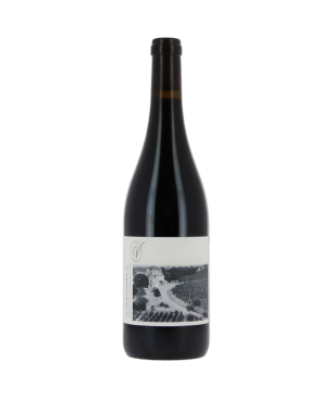 Château de Villeneuve - Saumur-Champigny - Rouge - 2023 - 75cl