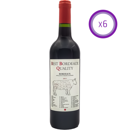 Yvon Mau Pack de 6 - BBQ - Best Bordeaux Quality - Rouge - 2015 - 75cl