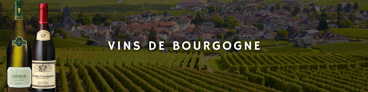 Vin de Bourgogne - Achetez vos Vins Bourguignons au Meilleur Prix