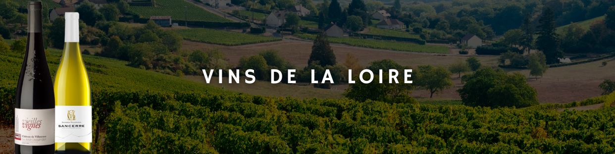 Vin Vallée de la Loire - Achetez vos Vins du Val du Loire au Meilleur Prix