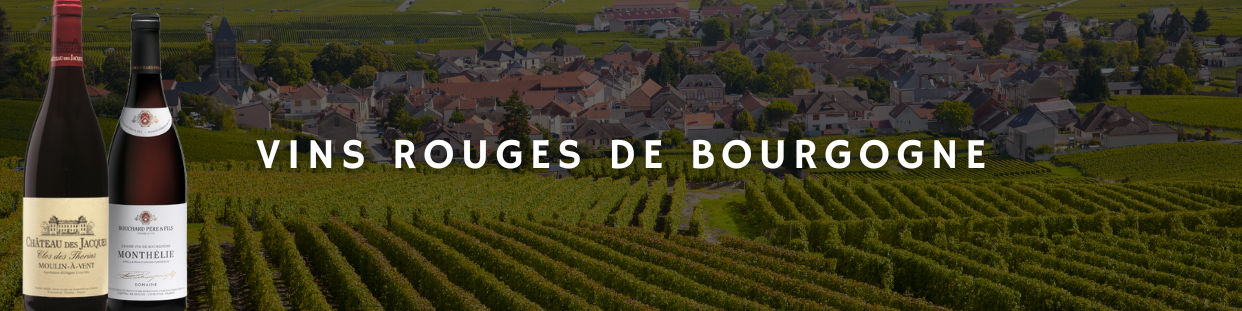 Vin Rouge de Bourgogne - Achetez vos Vins Rouges Bourguignons au Meilleur Prix