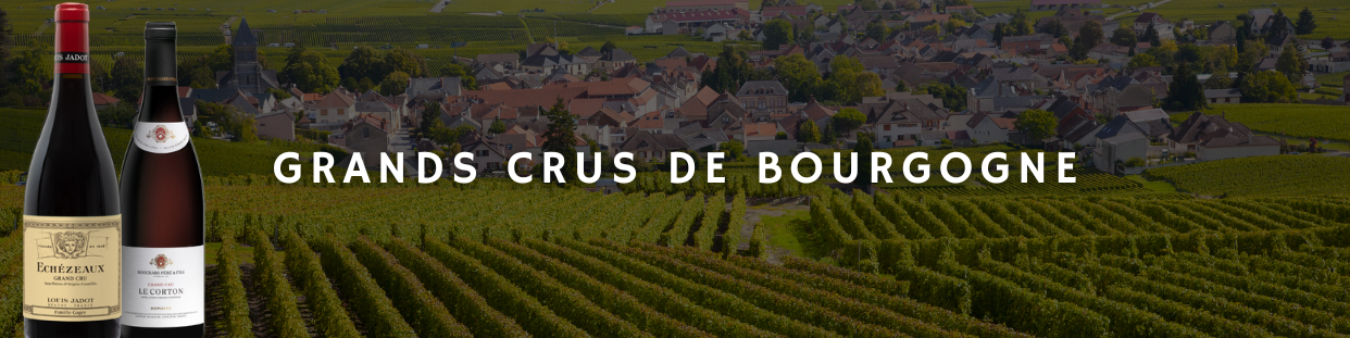 Achat de Grands Crus de Bourgogne | Optimus Wine