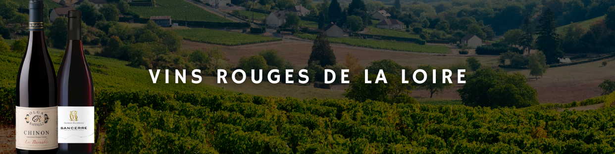 Vin Rouge Vallée de la Loire - Achetez vos Vins Rouges du Val du Loire au Meilleur Prix