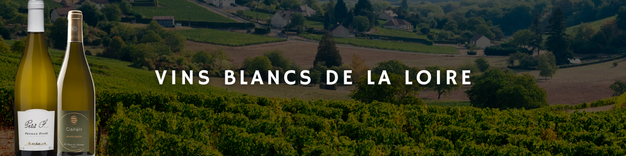 Achat en ligne vins blancs - Vallée de la Loire | Optimus Wine