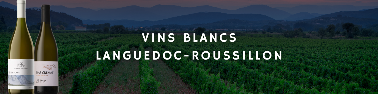 Vin Blanc Languedoc Roussillon - Achetez-les au Meilleur Prix